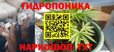 ГАЛЛЮЦИНОГЕННЫЕ ГРИБЫ Гусь-Хрустальный