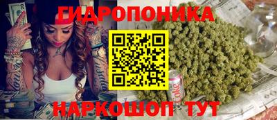 ГАЛЛЮЦИНОГЕННЫЕ ГРИБЫ Гусь-Хрустальный