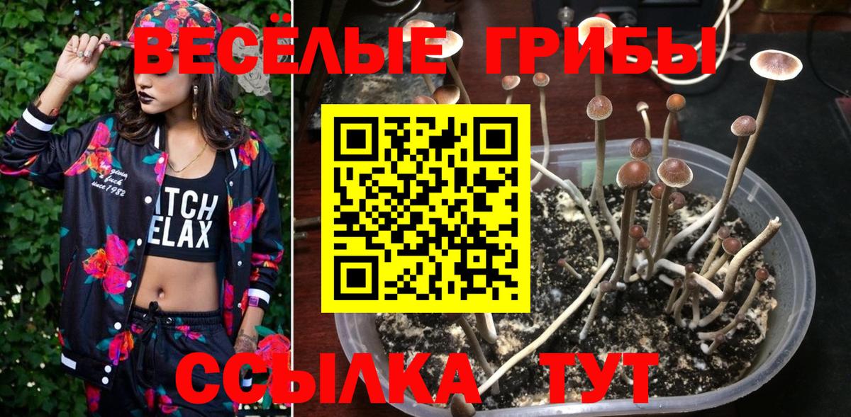 Орёл  Псилоцибиновые грибы Magic Shrooms  наркошоп  Вход с VPN 